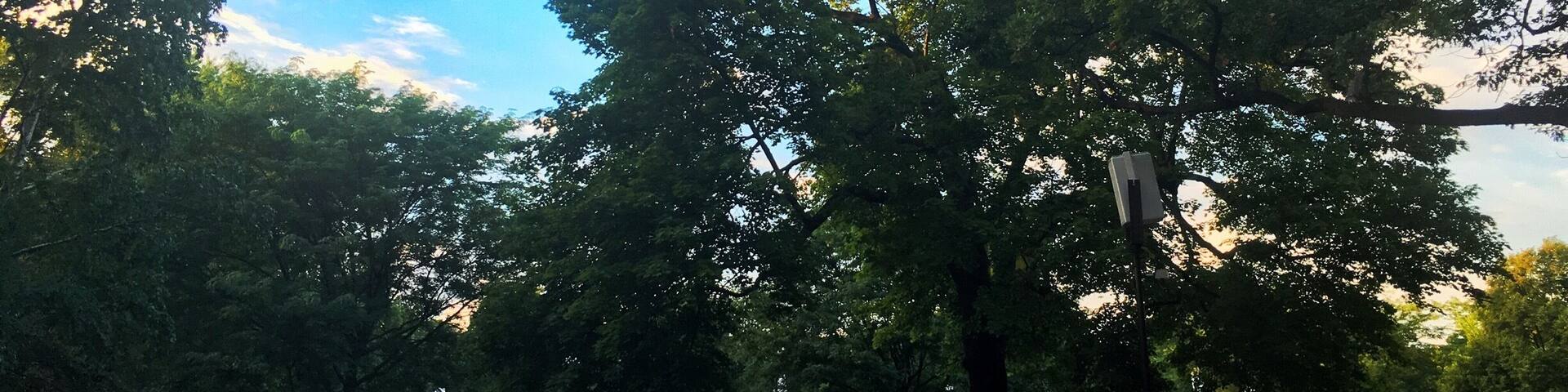 Summer night at Ravinia means music, picnic food, and wine!