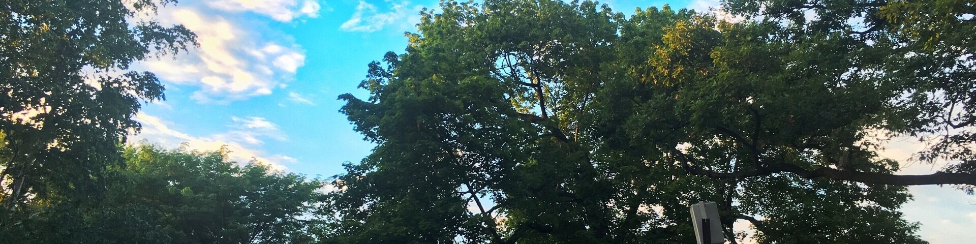 Summer night at Ravinia means music, picnic food, and wine!