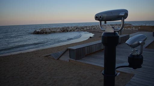 Beautiful little cove in any season!