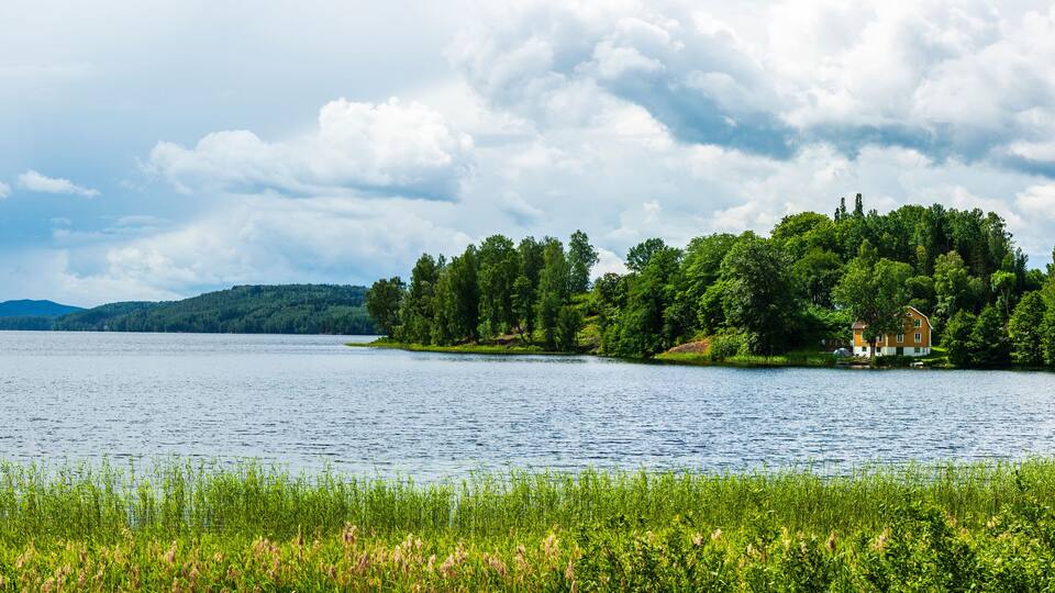 A lake surrounded by lush greenery and a small house on an island.