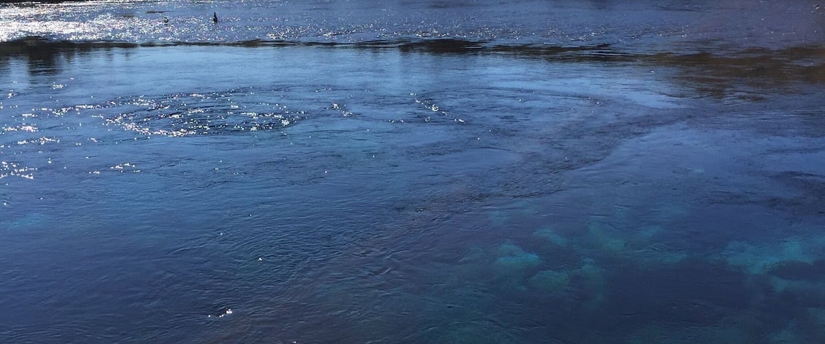 Just outside Takaka town is the Te Waikoropupu springs (sacred springs). It is thought to be the clearest water in the world. Stunningly beautiful!