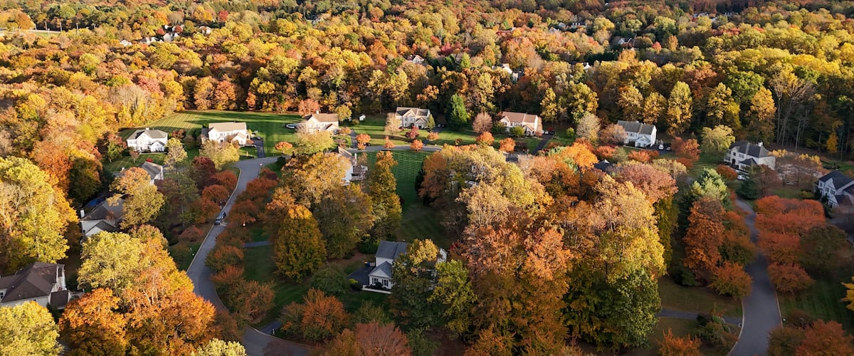 A residential area with autumn foliage, houses, and a distant view of a bridge.