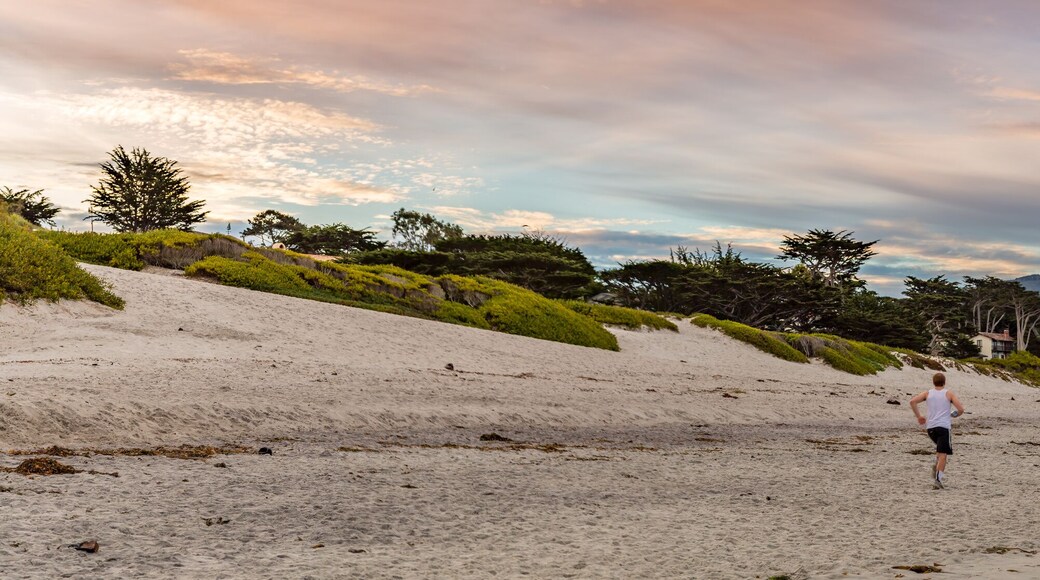 Panorama of a Jogger on the beach at Carmel Cove
