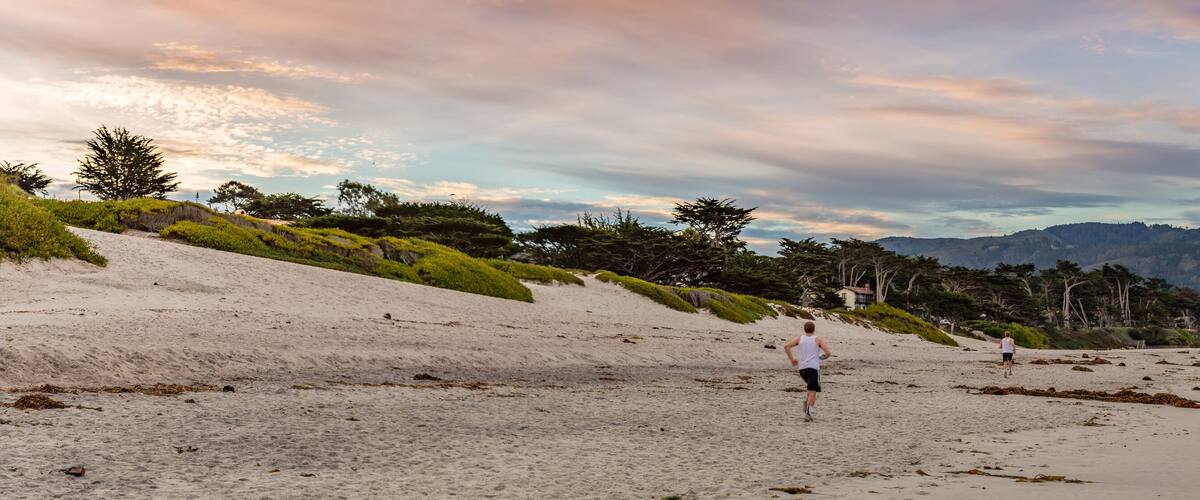A beach with a sandy shore, green vegetation, and a hilly landscape in the background.