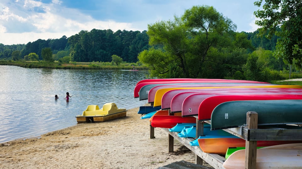 A lakeside with colorful canoes lined up on a wooden dock.