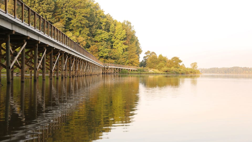 A wooden bridge over a calm lake with dense forest on one side.