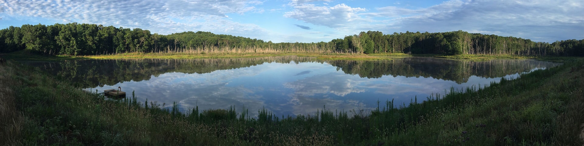 Summer morning at North Cypress Lake in Holly Springs National Forest, Mississippi