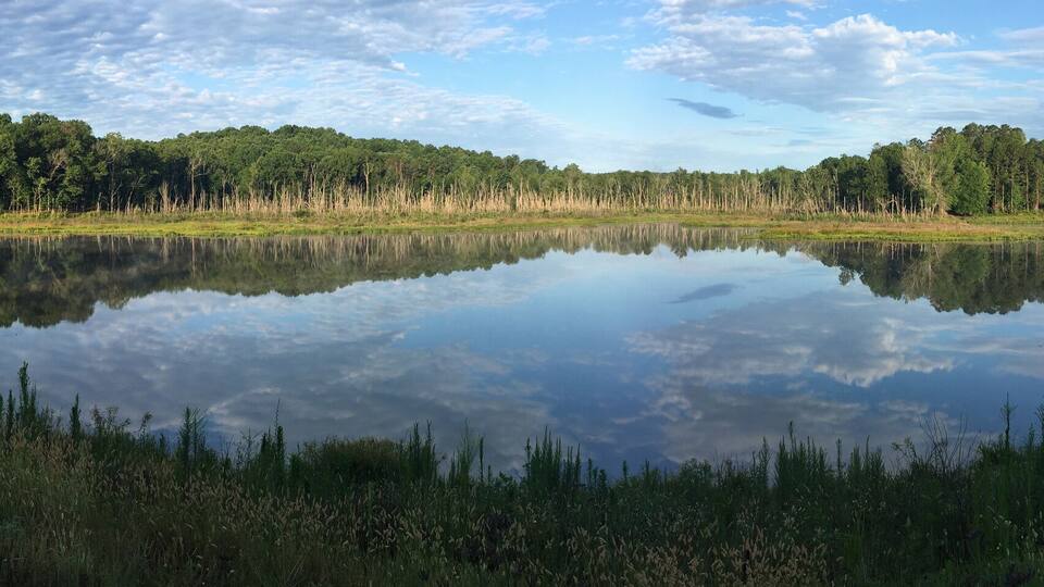 A calm lake reflecting trees and sky.