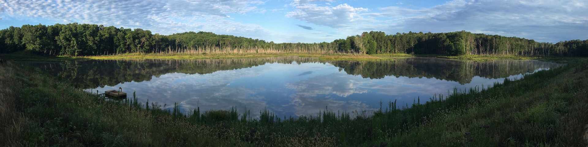 Summer morning at North Cypress Lake in Holly Springs National Forest, Mississippi