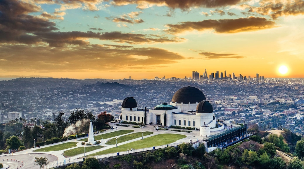 A cityscape with a large observatory featuring domes, surrounded by greenery and a clear sky.