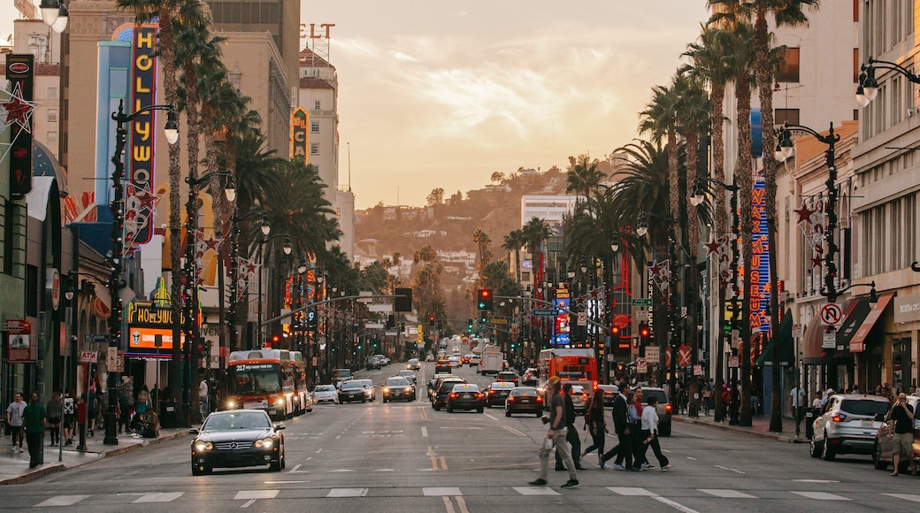 Hollywood showing a sunset, street scenes and a city