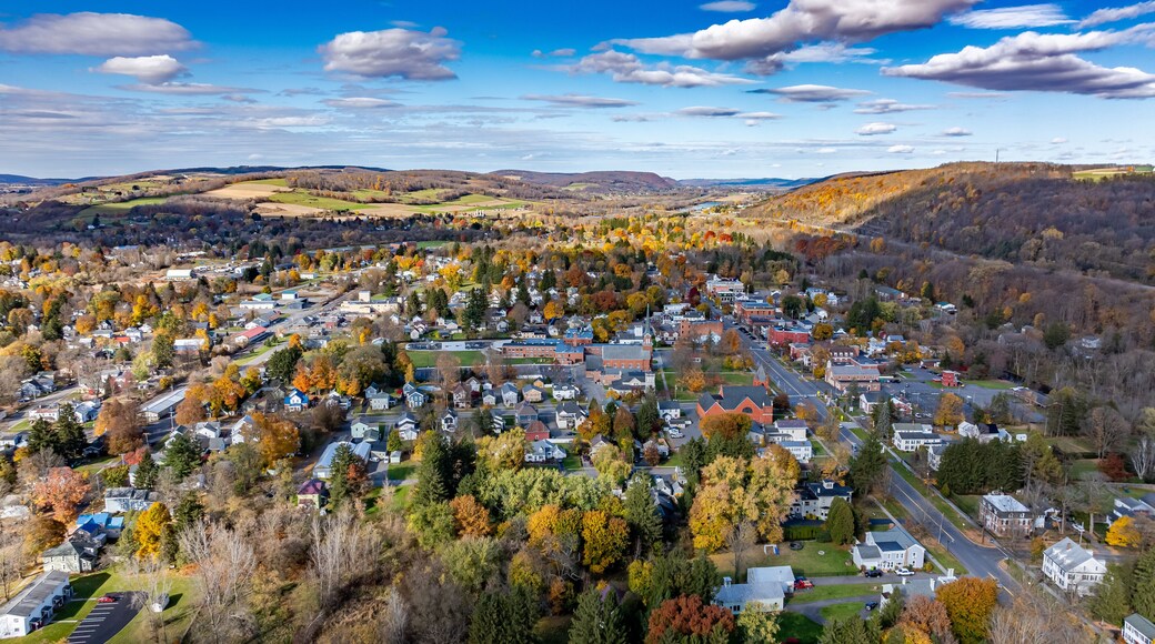 Aerial photo of fall foliage surrounding the Village of Homer, Cortland County, New York State, October 2024.