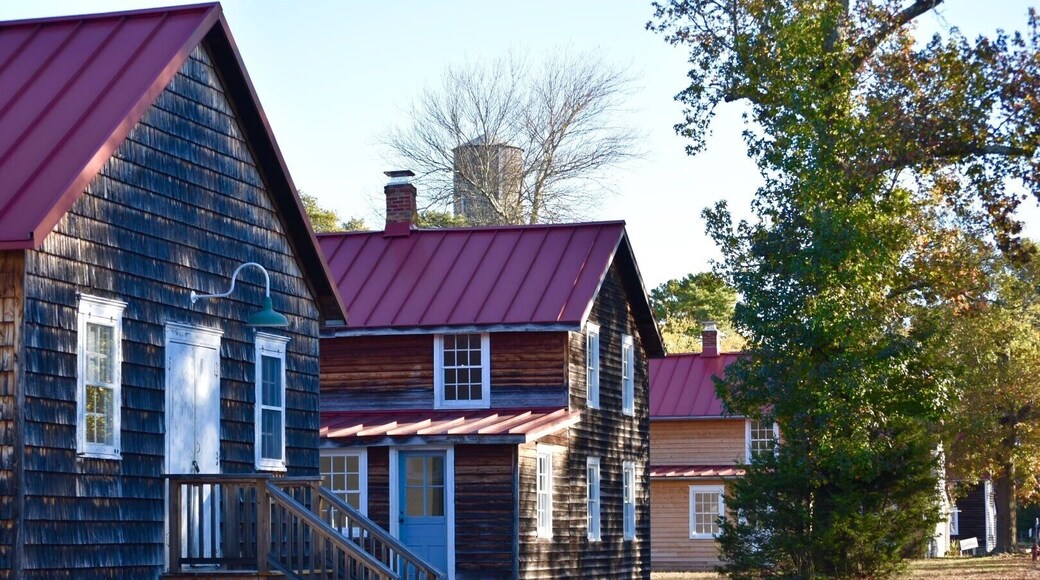 Whitesbog Village - remains of a turn of the century company town. Once the largest cranberry farm in NJ. Site of the first cultivated blueberry (by Elizabeth White). Many weekend activities ( harvest festivals, fire pits and wagon rides). General store, museum, workers cottages open on weekends. Nature trails through the Pine Barrens and cranberry bogs open all year dawn until dusk as part of the Brenden T Byrne State Forest.