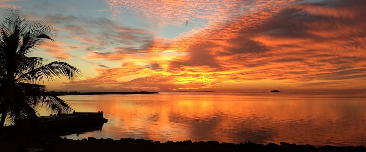 Dreaming... #GoldenHour