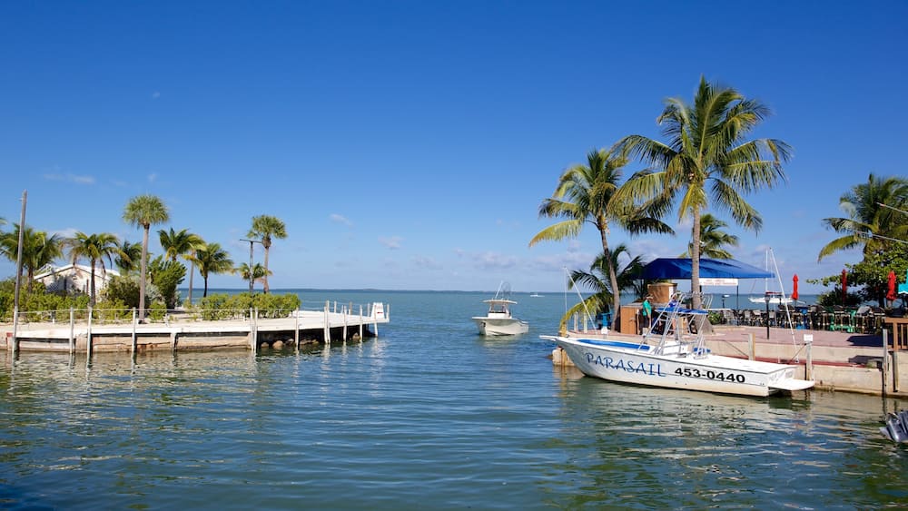 Ein Yachthafen mit Booten, Palmen und blauem Himmel.
