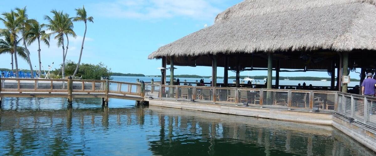 Une structure à toit de chaume dotée d’une terrasse en bois qui s’étend au-dessus de l’eau, des palmiers et un ciel dégagé.