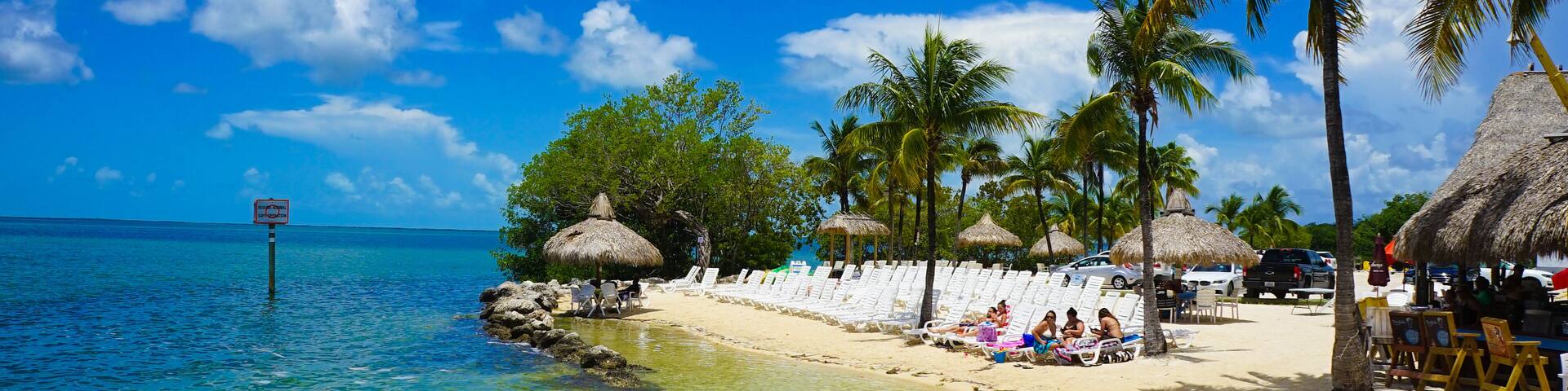 A beach with clear turquoise water, palm trees, and thatched umbrellas.
