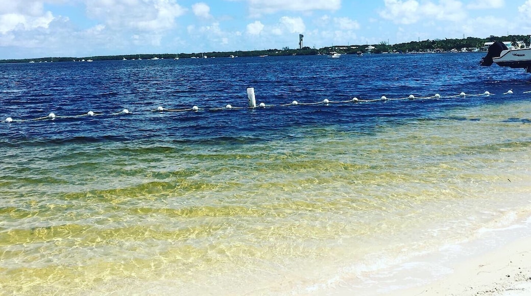 Hermoso lugar. Excelente para deportes acuáticos cerca de Miami