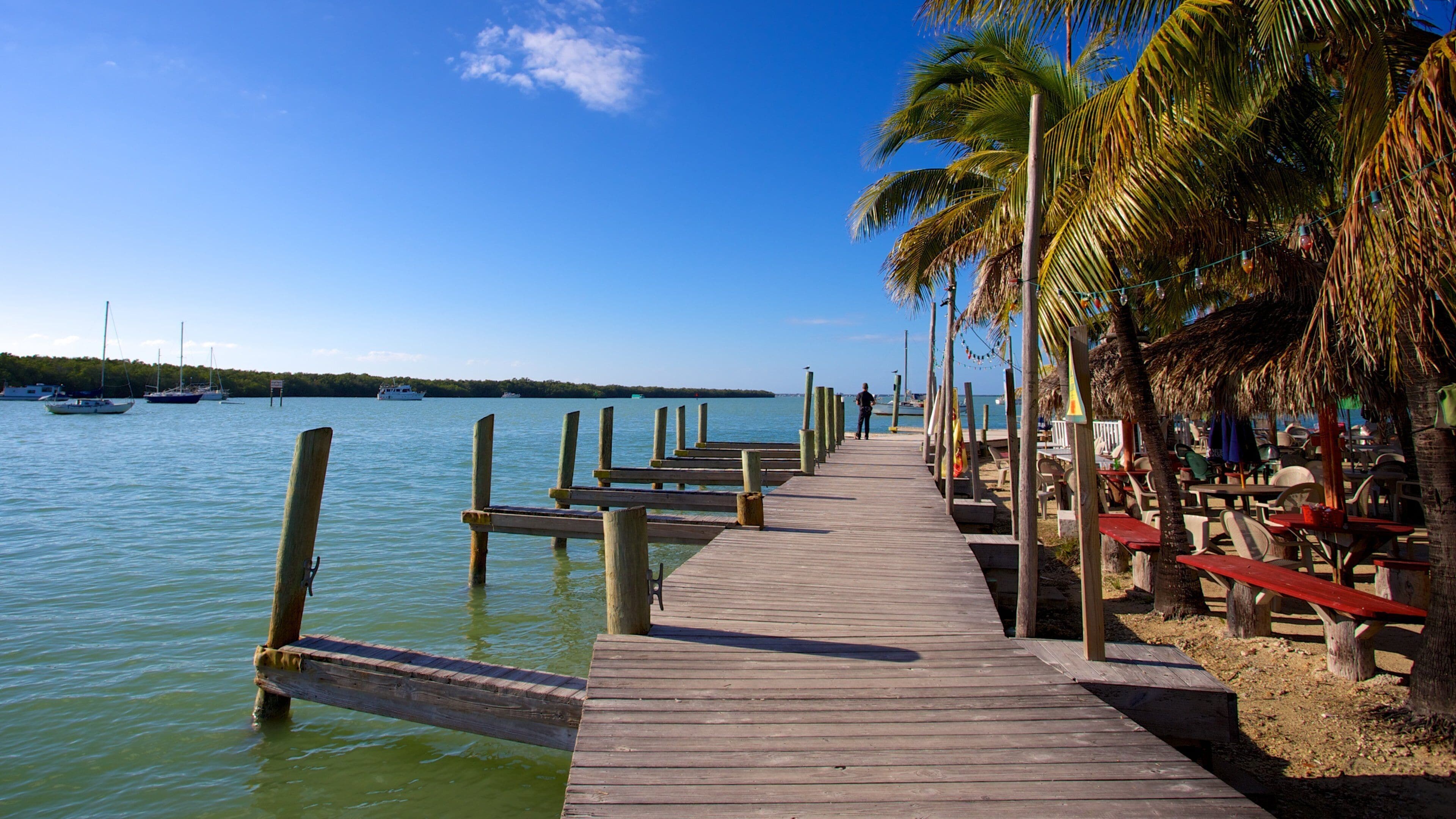 Key Largo which includes general coastal views, tropical scenes and a bay or harbour