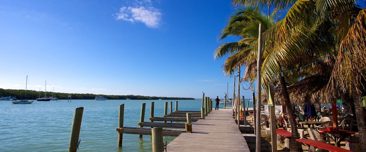 Key Largo toont tropische uitzichten, een baai of haven en algemene kustgezichten