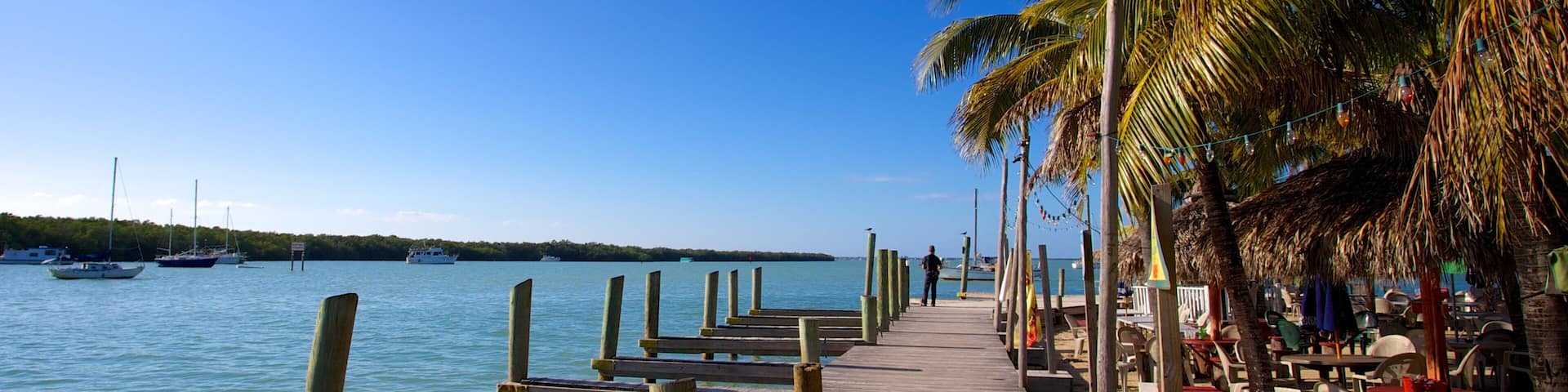 Key Largo featuring tropical scenes, a bay or harbor and general coastal views