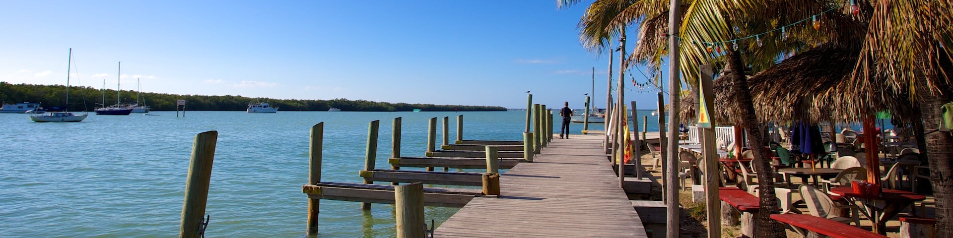 Key Largo featuring tropical scenes, a bay or harbor and general coastal views