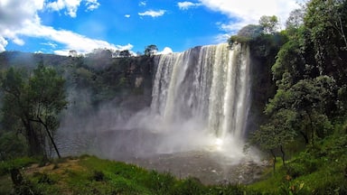 A large waterfall surrounded by lush greenery.