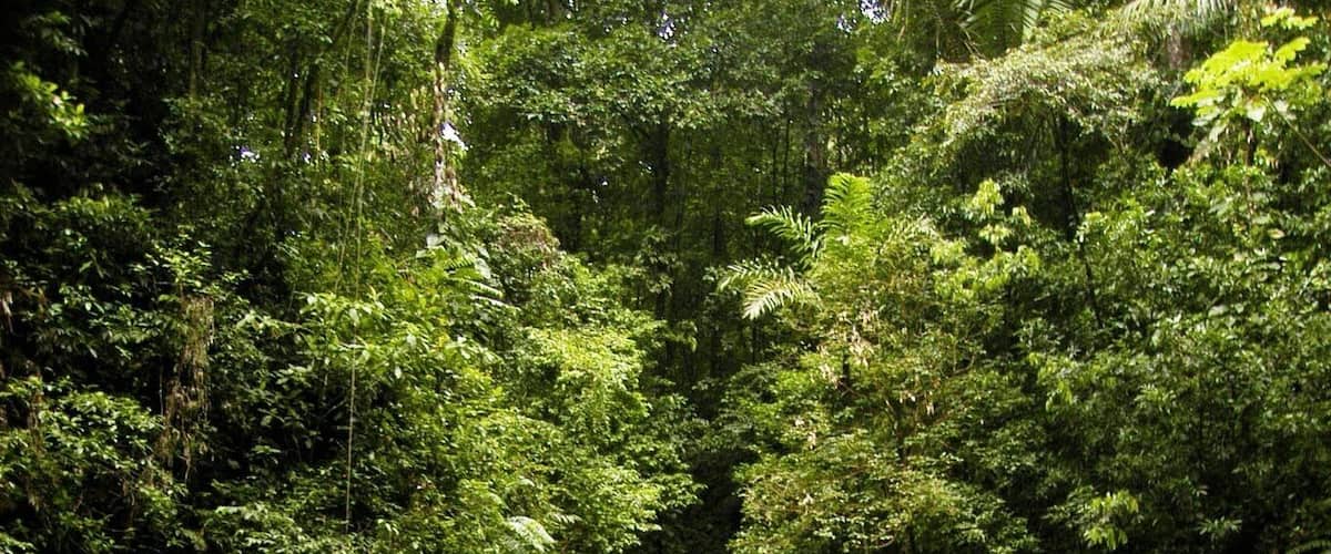 Rio seco waterfall #EndlessSummer - one of the smaller hikes I've done but a lovely place to retreat. It was possible on this summer afternoon with little or no one on the trail to take a hot pizza and arrive with it still hot 15 mins later to this waterfall ❤️