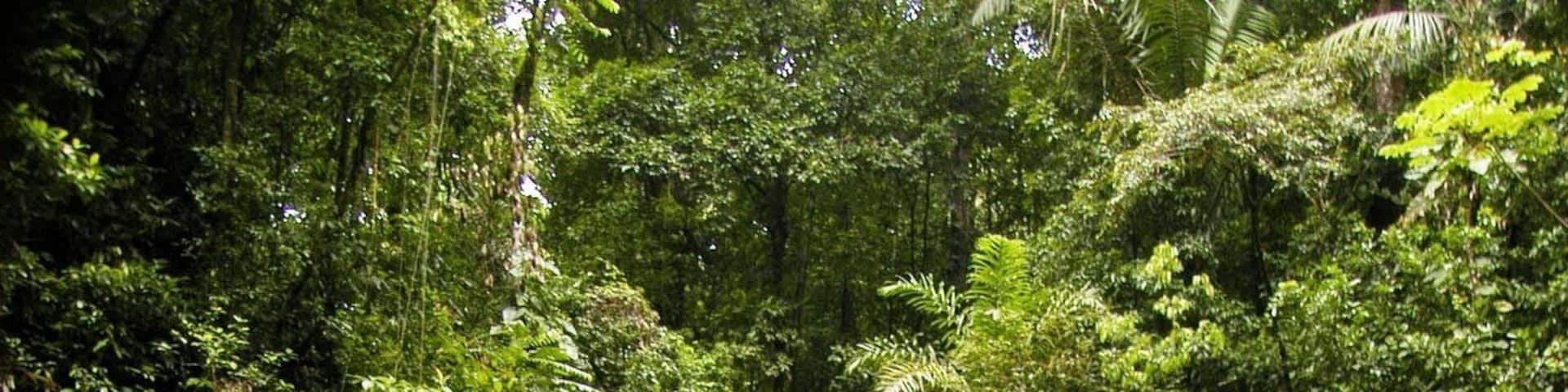 Rio seco waterfall #EndlessSummer - one of the smaller hikes I've done but a lovely place to retreat. It was possible on this summer afternoon with little or no one on the trail to take a hot pizza and arrive with it still hot 15 mins later to this waterfall â€ïž