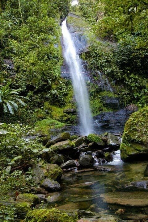 This was taken at one of hikes in Trinidad. Hike to Hobo waterfalls#EndlessSummer