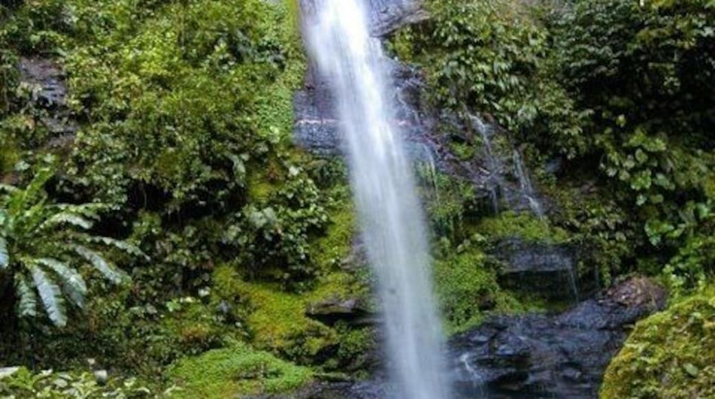 This was taken at one of hikes in Trinidad. Hike to Hobo waterfalls#EndlessSummer