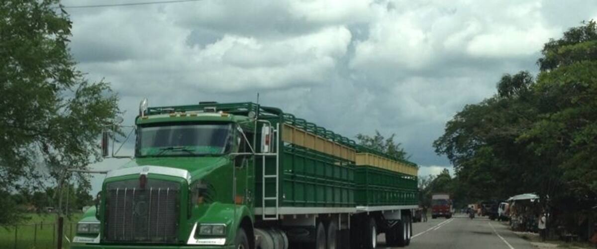 A green truck on a road with trees and a cloudy sky.