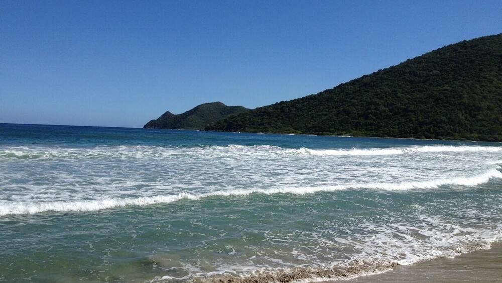 A beach with waves, a clear blue sky, and a forested hill in the background.