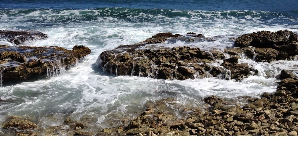 Un bello día para tomar fotos con mi Iphone