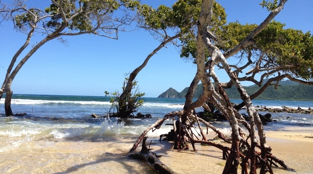 Entrada del mar a la Laguna de Bocaina