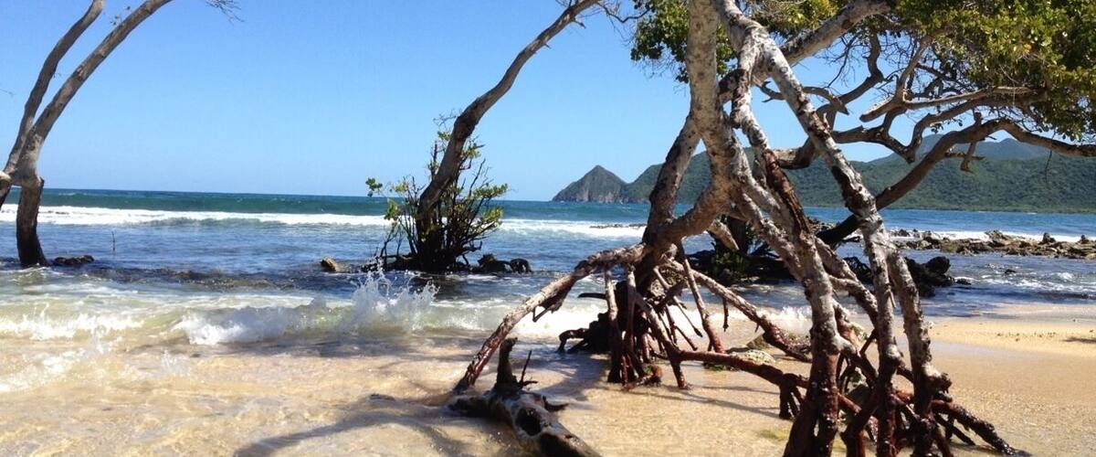 Entrada del mar a la Laguna de Bocaina