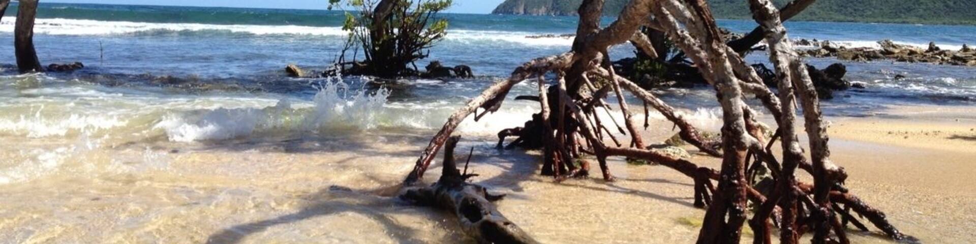 Entrada del mar a la Laguna de Bocaina