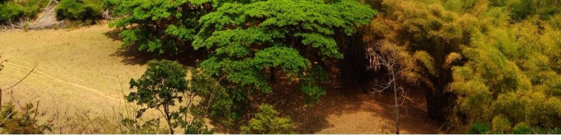 Valley of Chirgua, near city of Valencia