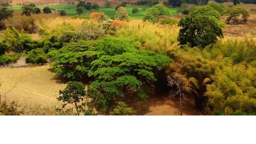 Valley of Chirgua, near city of Valencia