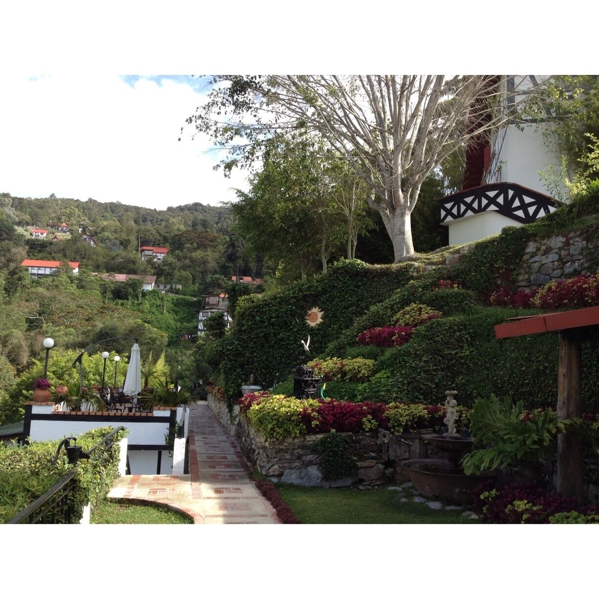 Garden of Posada Do Elicio , at Colonia Tovar in Venezuela