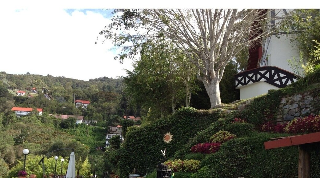 Garden of Posada Do Elicio , at Colonia Tovar in Venezuela