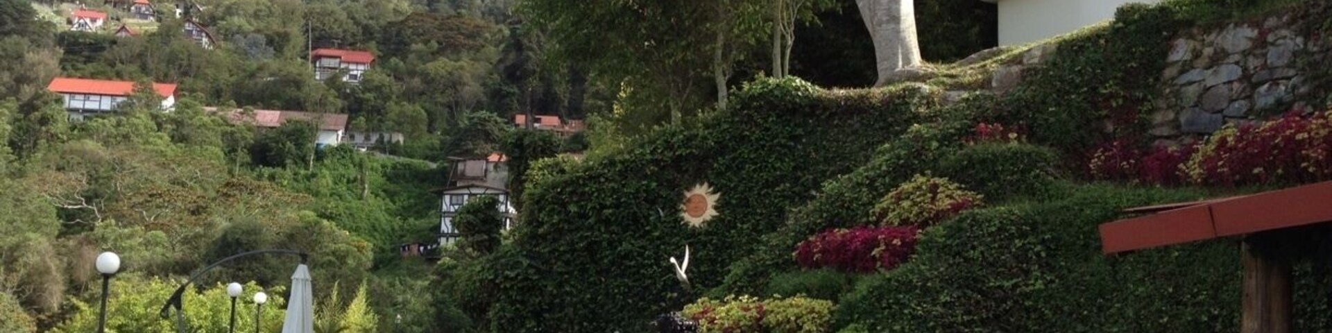 Un jardín con un muro de piedra, un edificio blanco con detalles negros y un árbol.