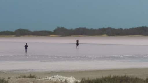 Caminar por estas tierras es habar con a naturaleza. Descubrir la dulzura del mar.