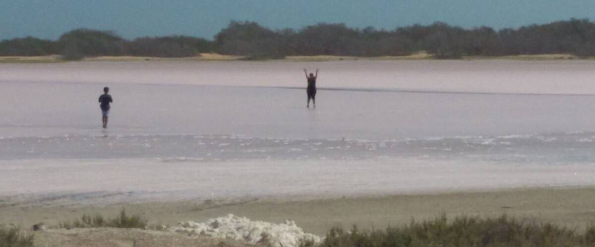 A flat, expansive salt flat with sparse vegetation in the background.