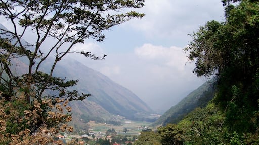 While visiting friends in Sabana de Mendoza, Venezuela, we rode up into the Andes Mountains. It was much prettier than the picture turned out.