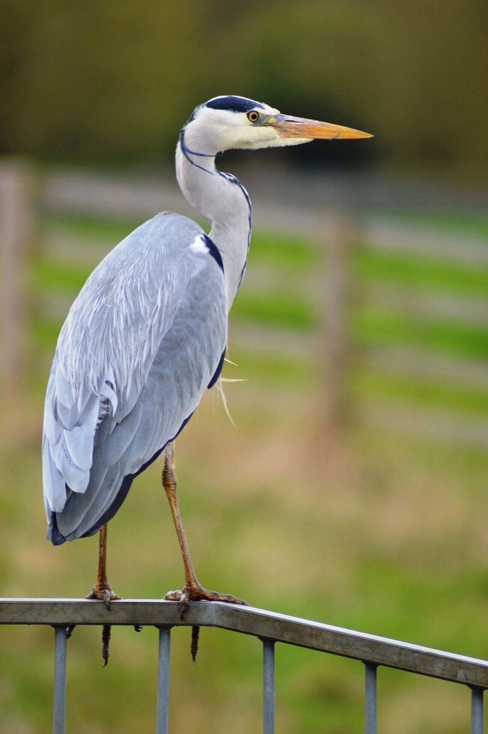 A very pleasant place to stretch the legs 
