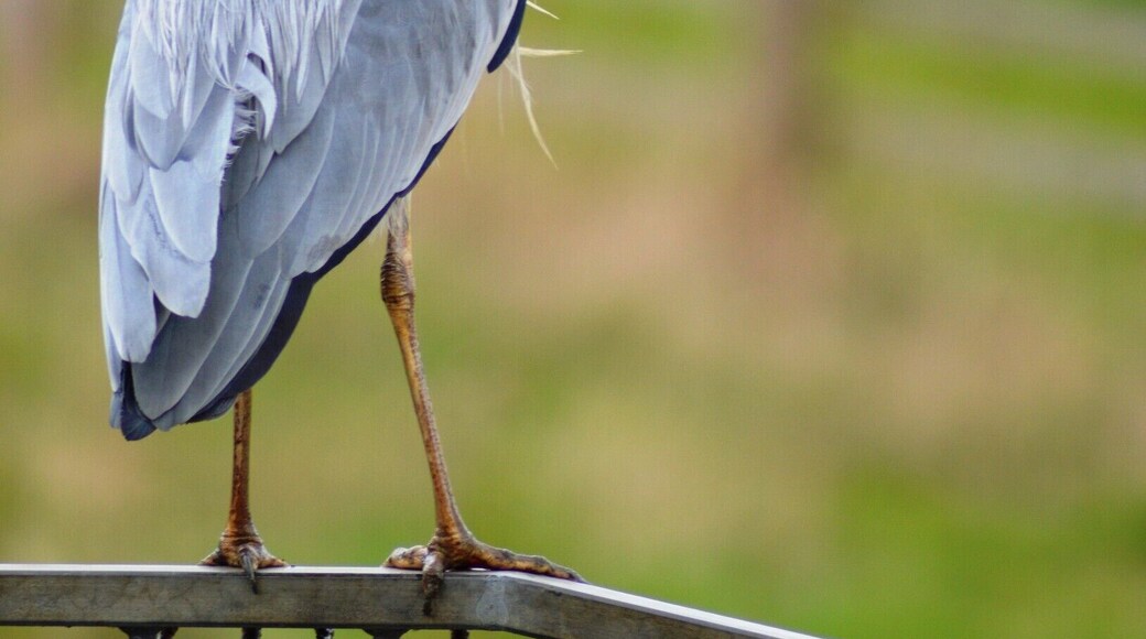 A very pleasant place to stretch the legs