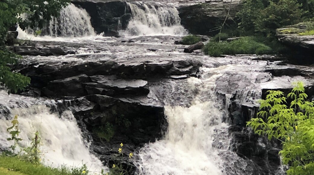 Waterfall in Honesdale after the rain.
