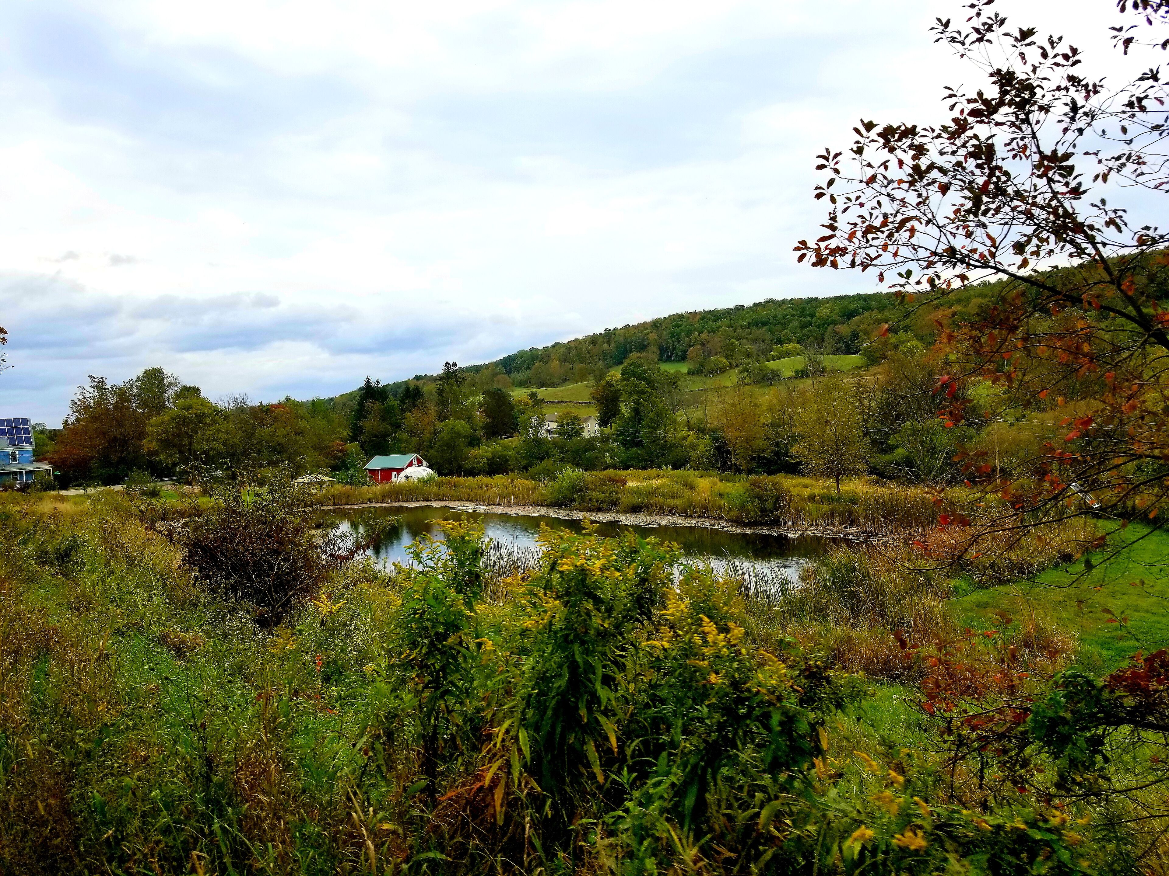 Beautiful Fall day driving through the country side