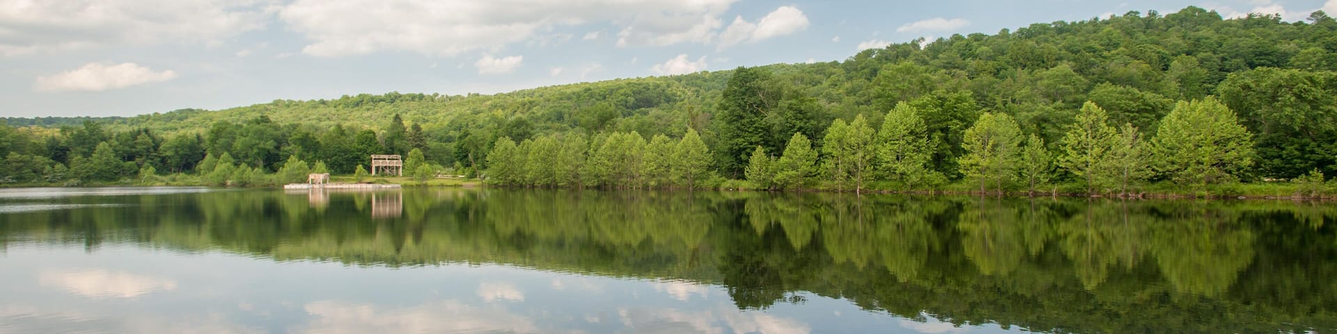 Landscape of trees and water in Honesdale, PA.